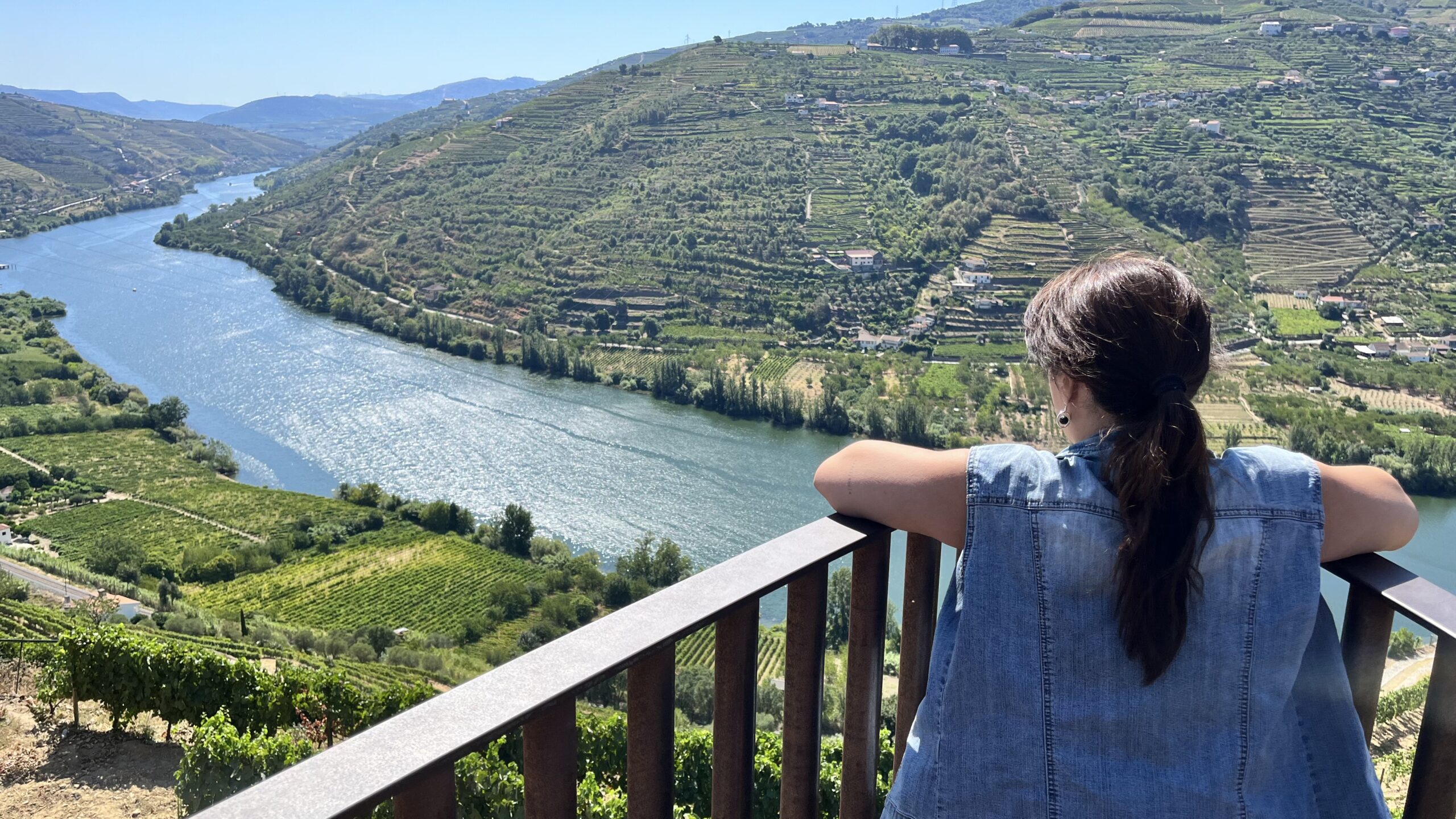 portugal en vinos