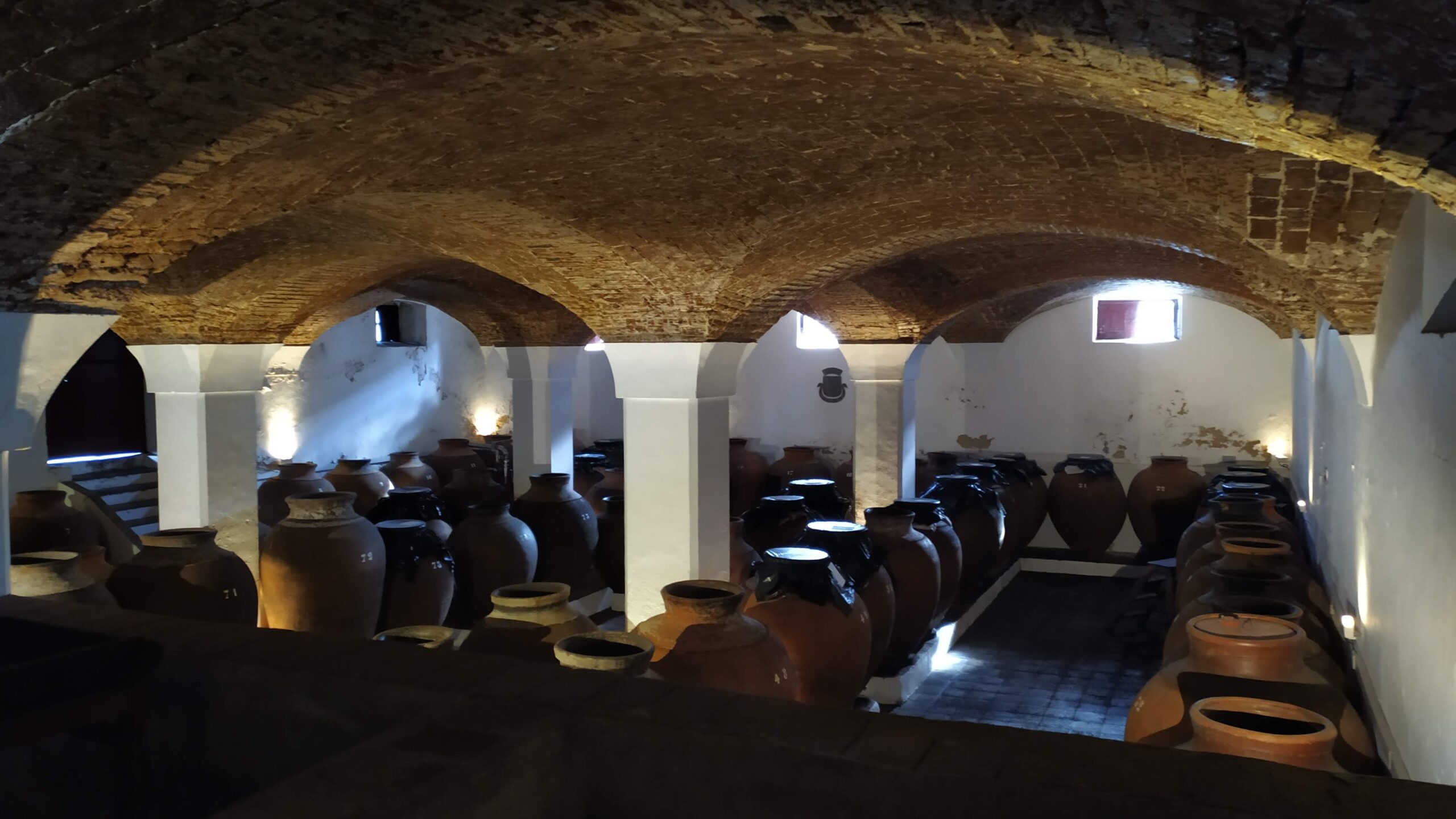 cultura vitivinícola